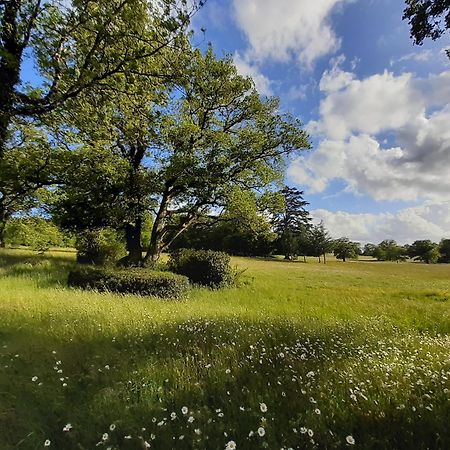 Domaine Des Roches Blanches Villa Le Pin  Bagian luar foto
