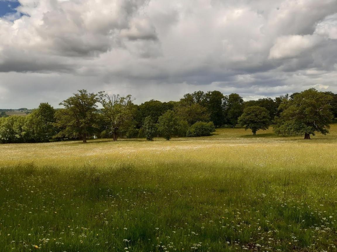 Domaine Des Roches Blanches Villa Le Pin  Bagian luar foto