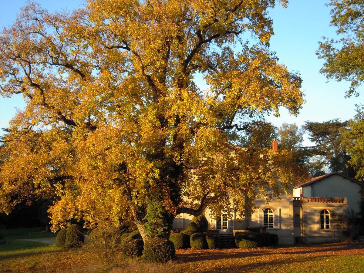 Domaine Des Roches Blanches Villa Le Pin  Bagian luar foto