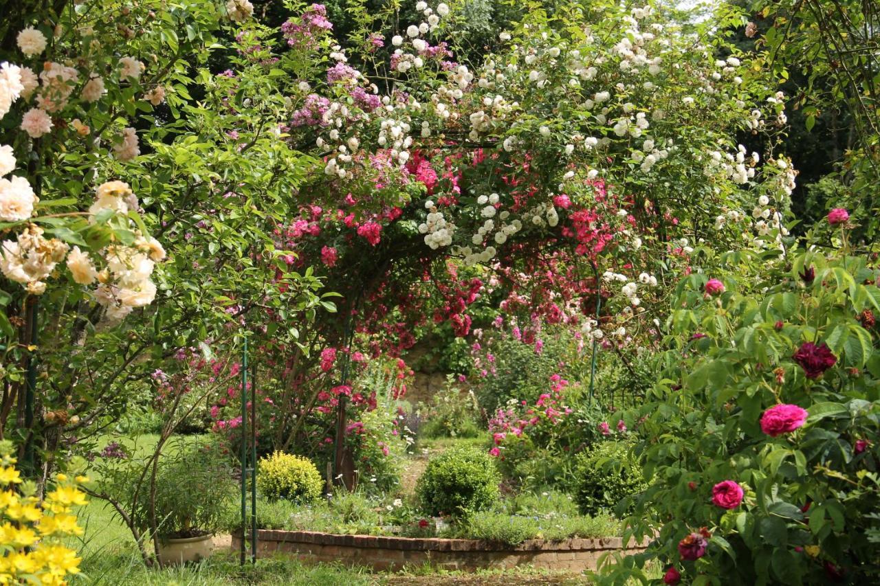Domaine Des Roches Blanches Villa Le Pin  Bagian luar foto