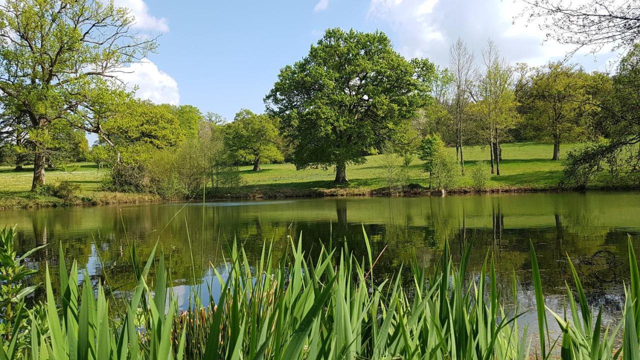 Domaine Des Roches Blanches Villa Le Pin  Bagian luar foto