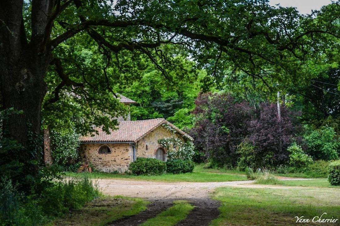 Domaine Des Roches Blanches Villa Le Pin  Bagian luar foto