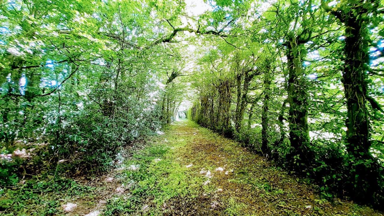 Domaine Des Roches Blanches Villa Le Pin  Bagian luar foto