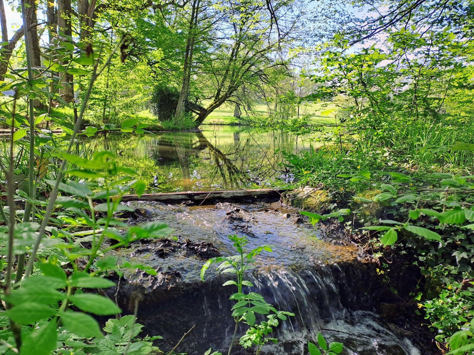Domaine Des Roches Blanches Villa Le Pin  Bagian luar foto