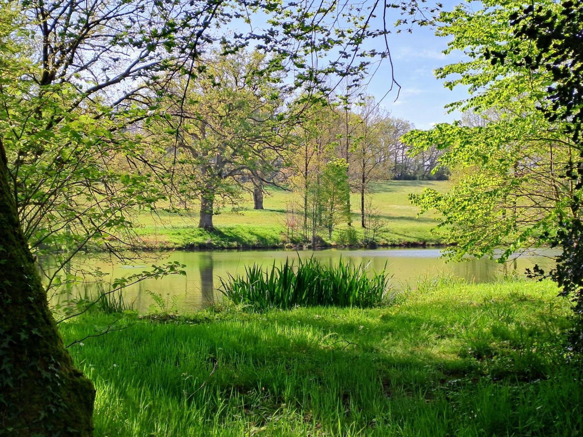 Domaine Des Roches Blanches Villa Le Pin  Bagian luar foto