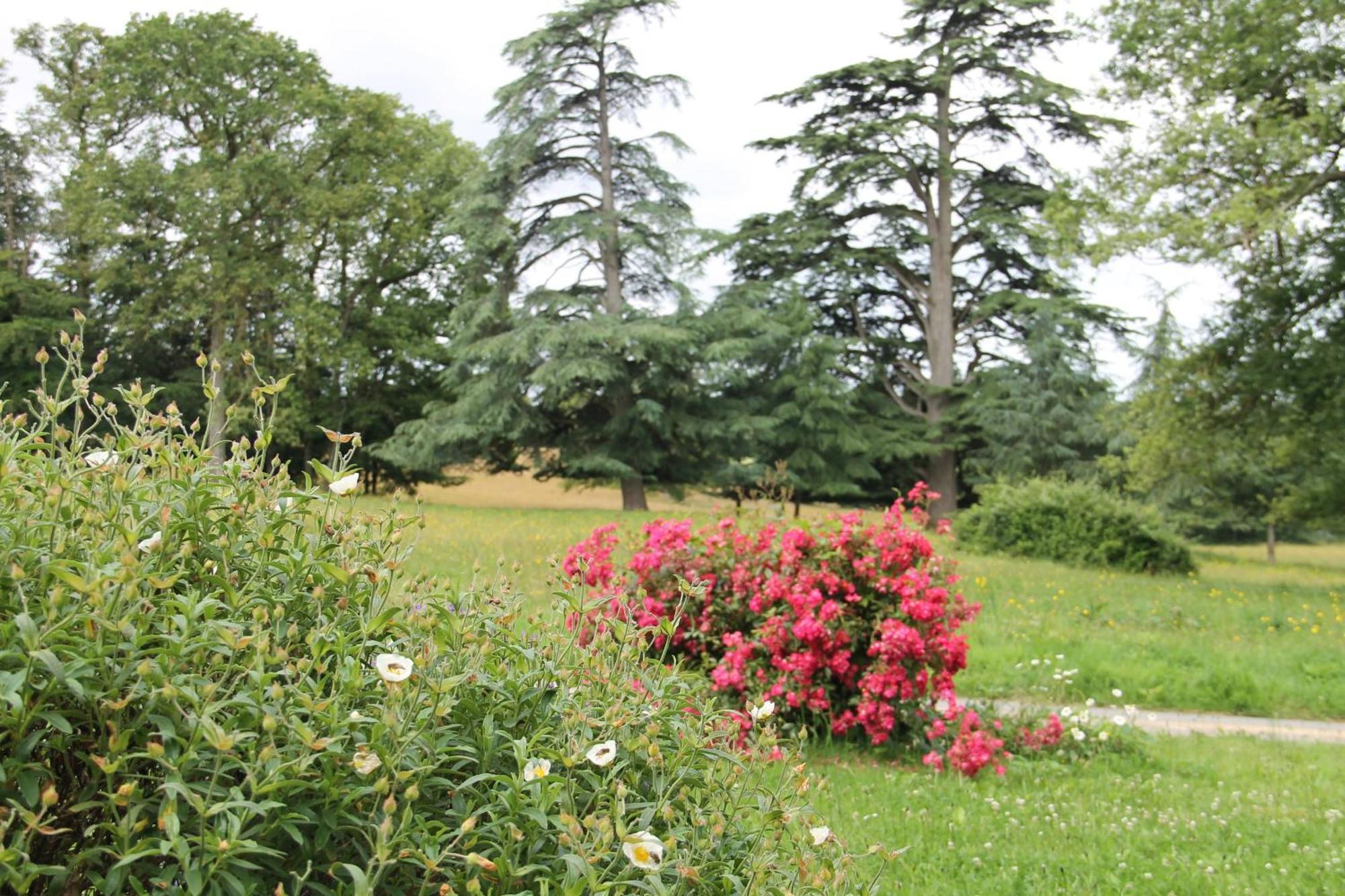 Domaine Des Roches Blanches Villa Le Pin  Bagian luar foto