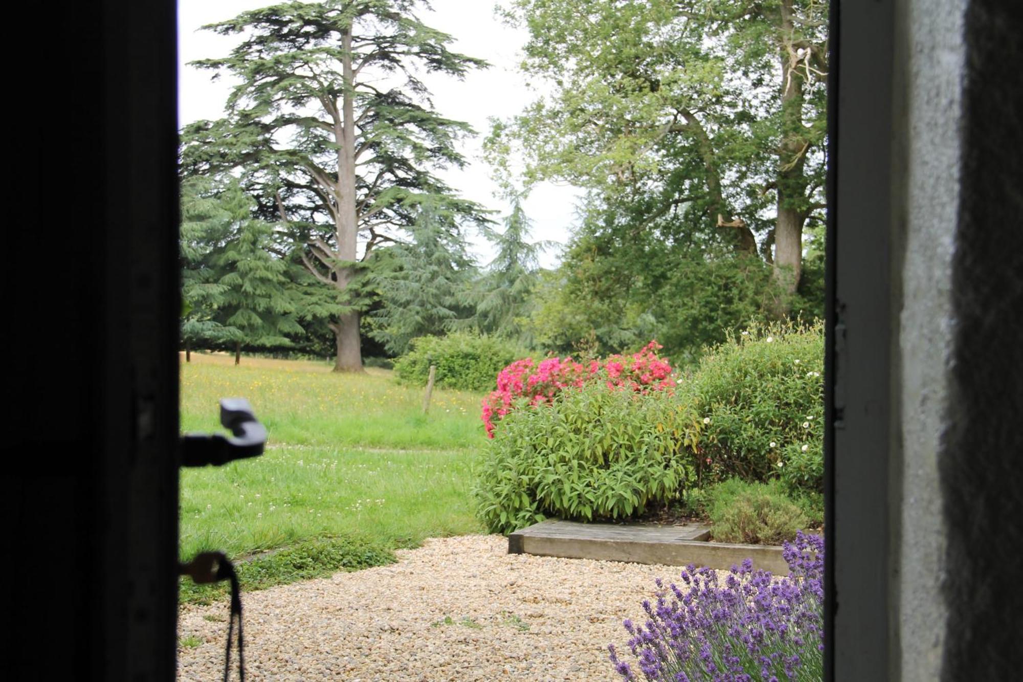 Domaine Des Roches Blanches Villa Le Pin  Bagian luar foto