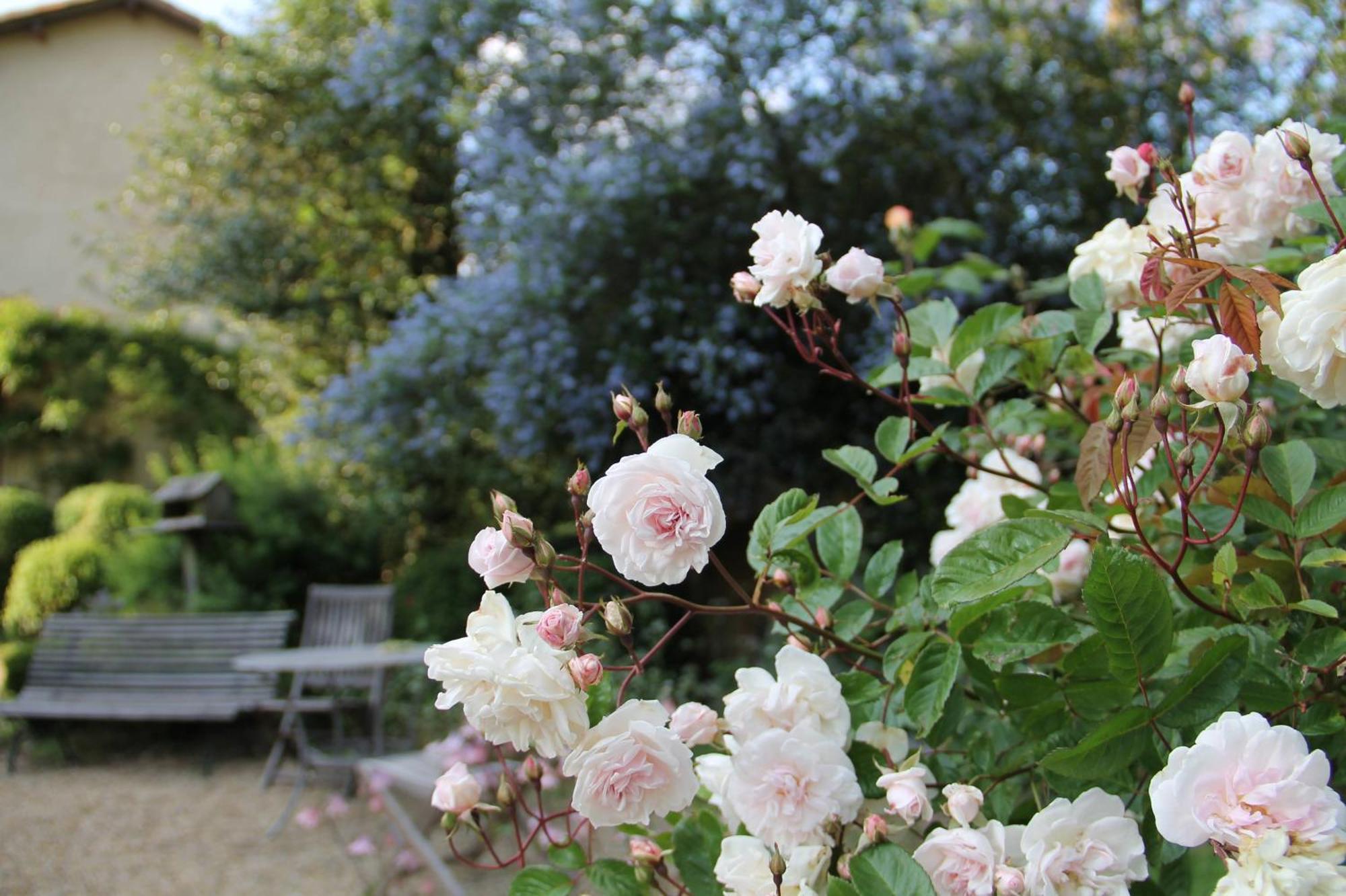 Domaine Des Roches Blanches Villa Le Pin  Bagian luar foto