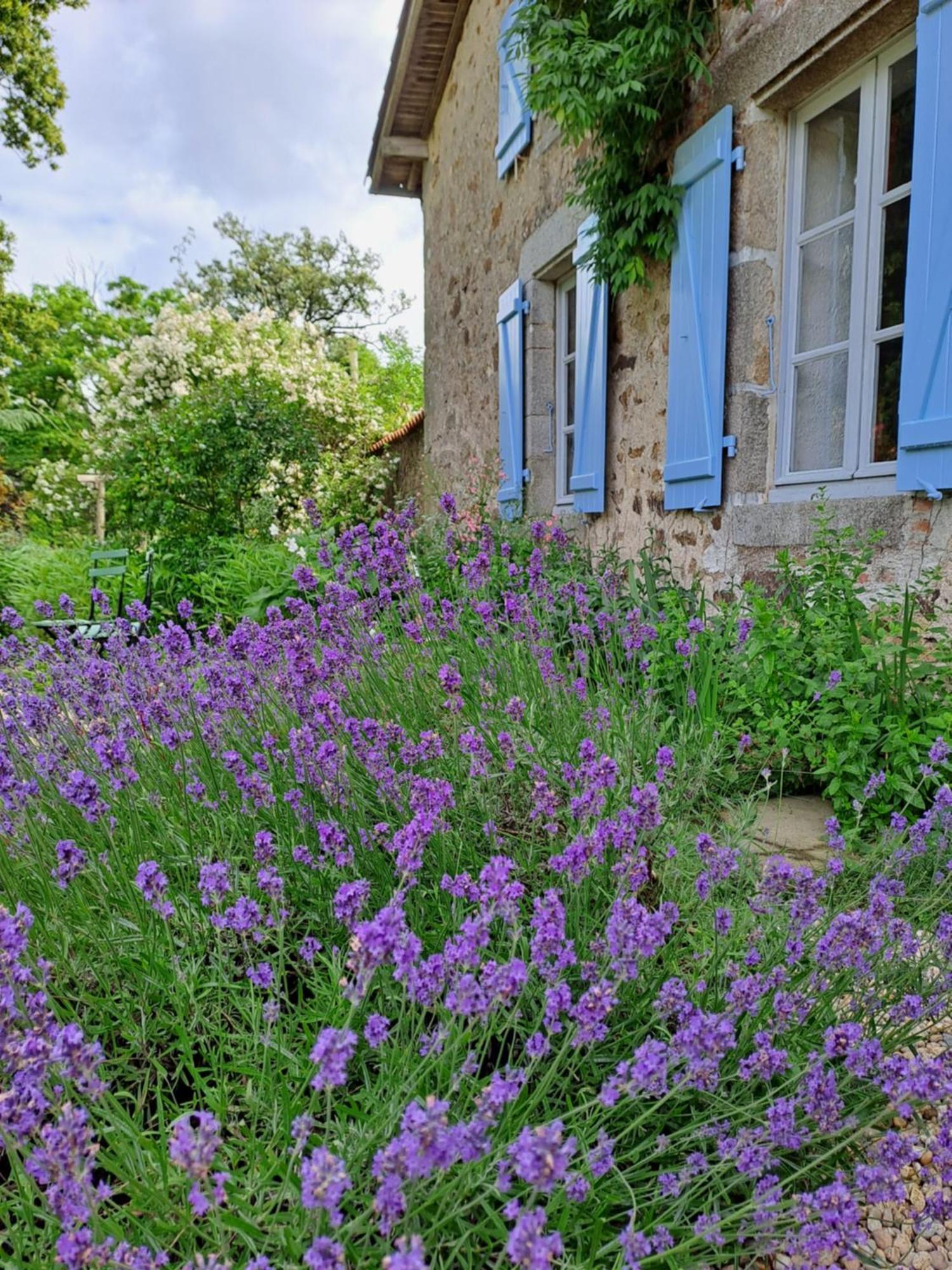 Domaine Des Roches Blanches Villa Le Pin  Bagian luar foto