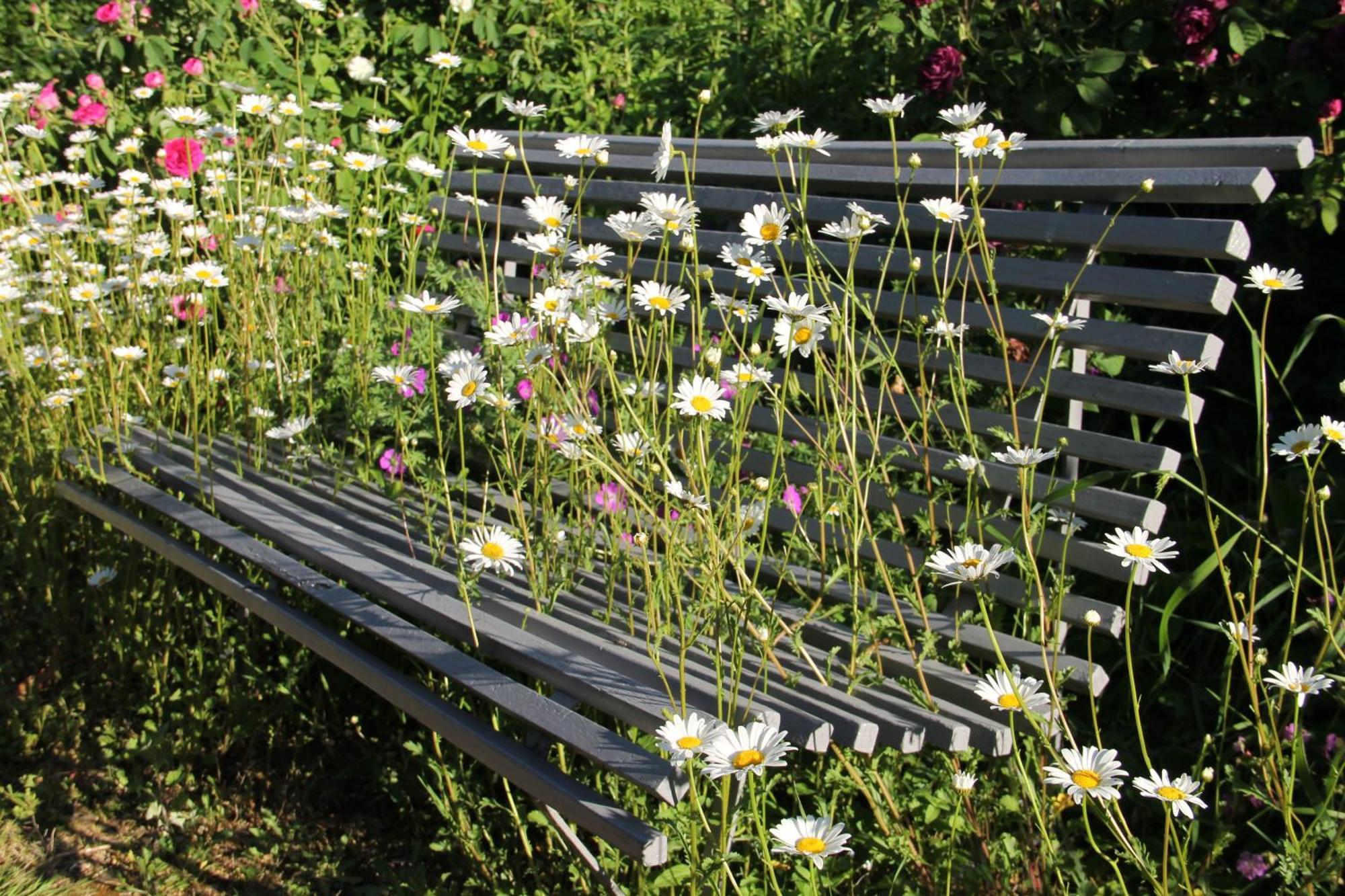 Domaine Des Roches Blanches Villa Le Pin  Bagian luar foto