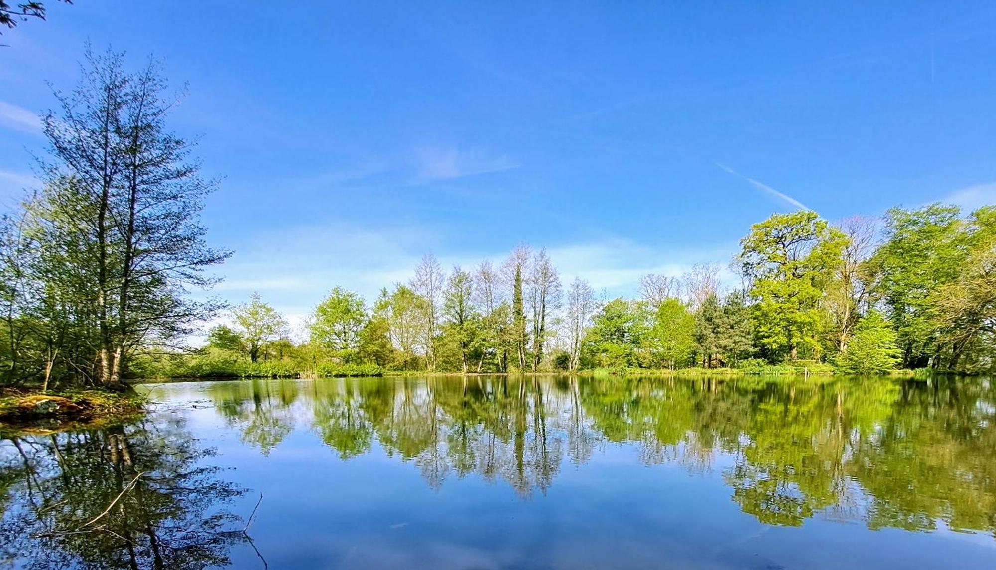 Domaine Des Roches Blanches Villa Le Pin  Bagian luar foto