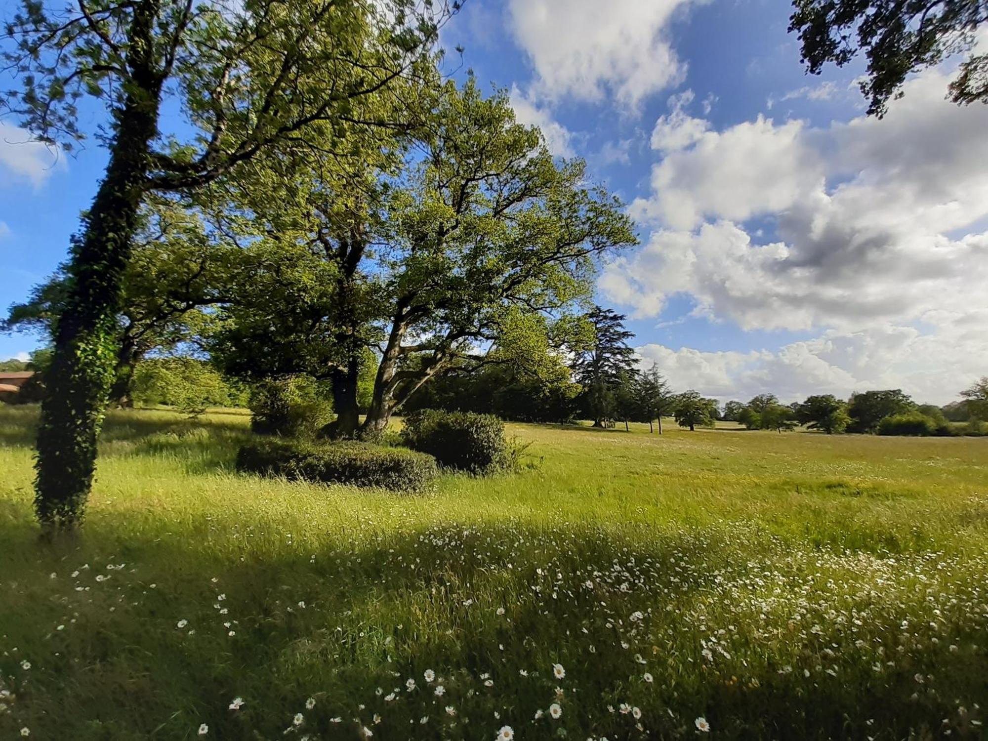 Domaine Des Roches Blanches Villa Le Pin  Bagian luar foto