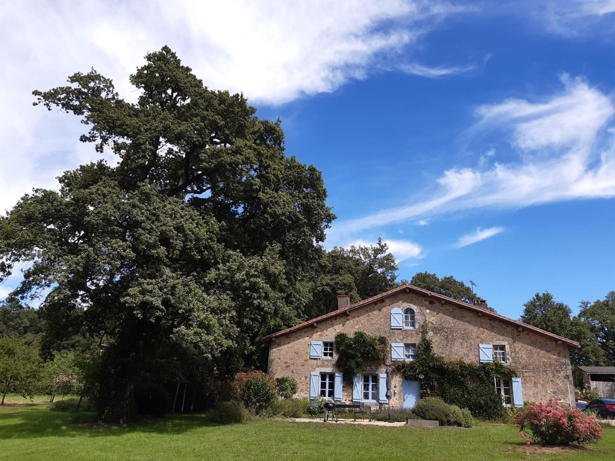 Domaine Des Roches Blanches Villa Le Pin  Bagian luar foto